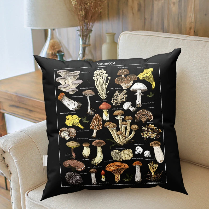 S13a765f91c3142538212ba1d65a54ee1M