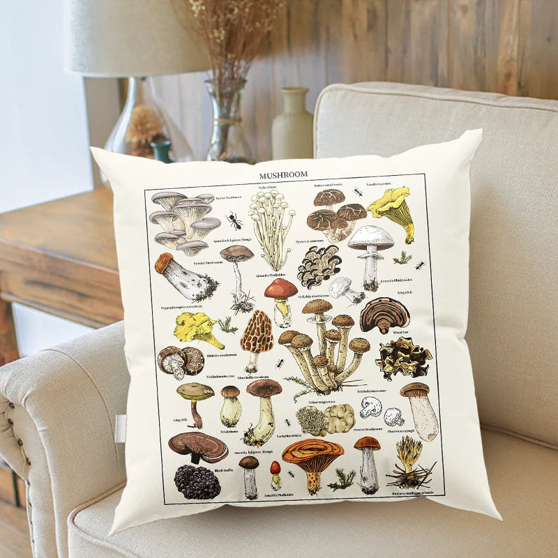 S95f2ea8a12d1492baa07a9c5cb28564cU